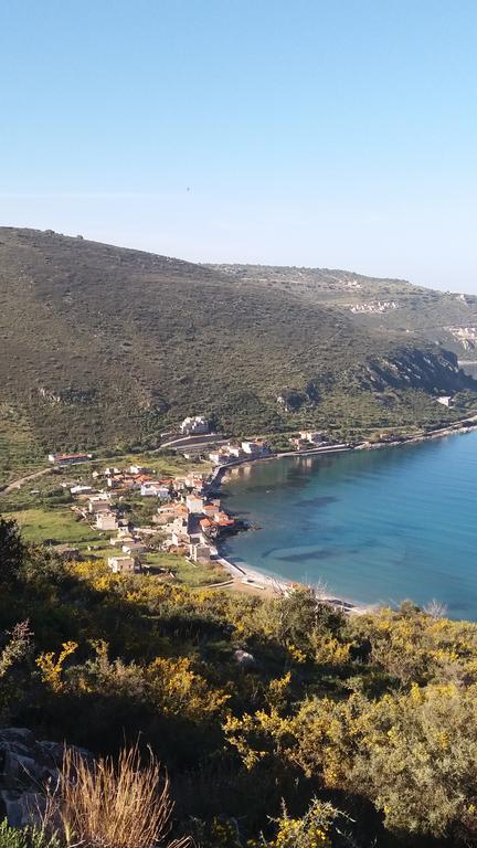 Elezar Néon Oítilon